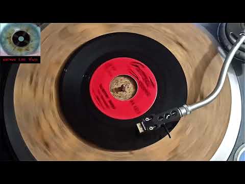The Trashmen - Surfin' Bird (mono)