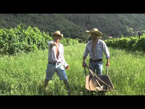 PERDERE L'AMORE - PARODIA "PERDERE IL TRATTORE" ALBERTO DIMENSIONE MUSICA