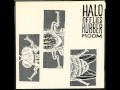 Halo Of Flies "Rubber Room" • Amphetamine Reptile Records