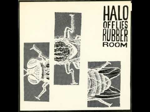 Halo Of Flies 