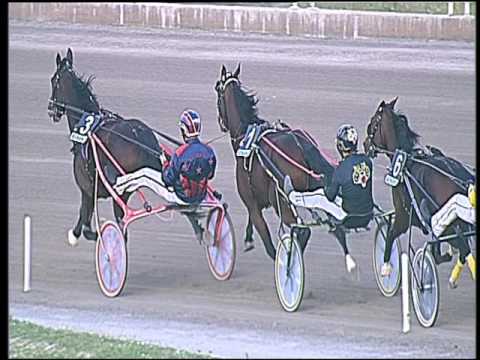 Trotto 04/11/2016 - 1ª corsa