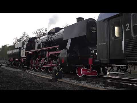 Ciufa na Jęzor Centralny JCA