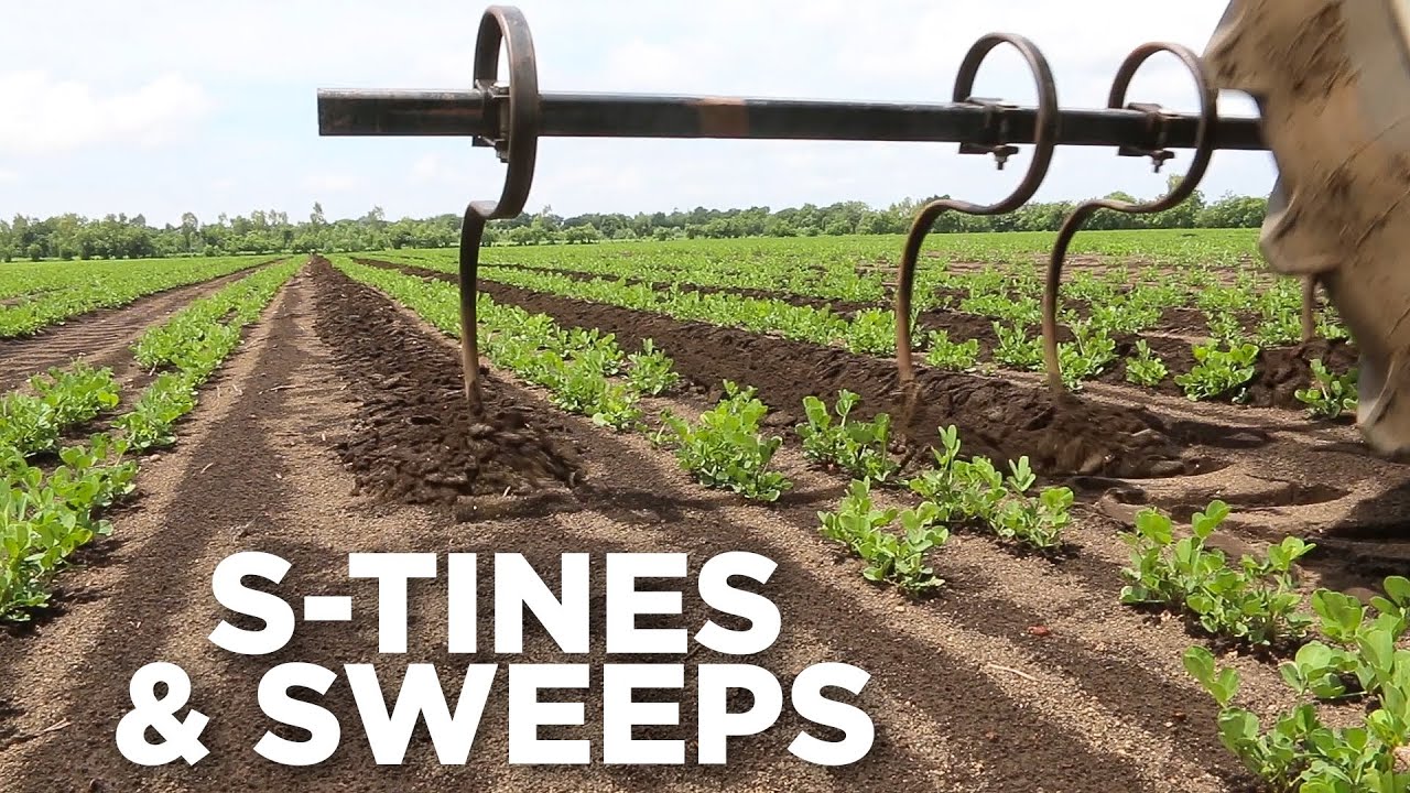 What Are S-Tines & Sweeps? - 1 Minute Overview