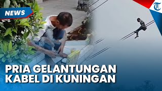 NEKAT! PRIA GELANTUNGAN KABEL dan Jatuhkan Diri di Pohon, Ternyata Alasannya gegara Ini