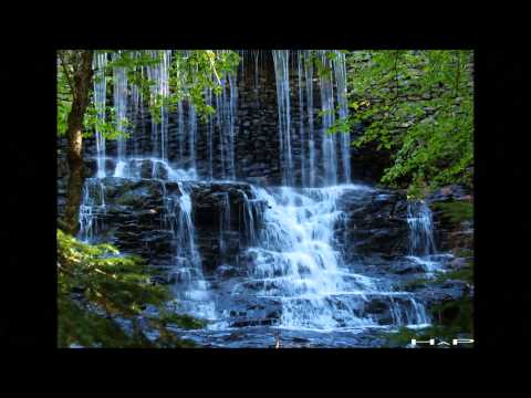 Ishtar- horchat hai caliptus