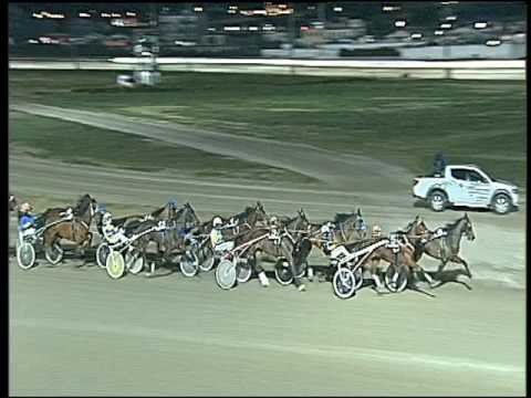 Trotto 20/01/2017 - 6ª corsa