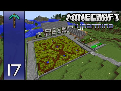 Minecraft Hypermine (Vanilla SMP) | Wheat Field Crop Circle | E17