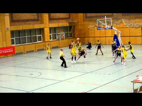 Flying Foxes Post Wien-Baschet Club ICIM Arad