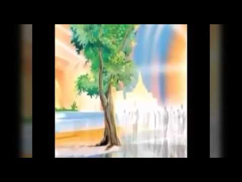 Marino -- Ya viene la recompensa