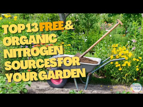 13 FREE and Organic Nitrogen Sources for Your Garden