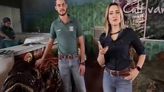 Miniatura do vídeo