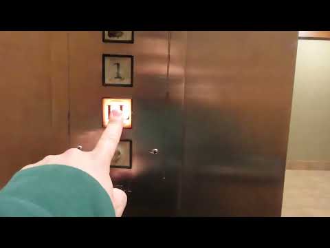 General/Dover Hydraulic Elevators At Oxford Building (With STL Elevators)