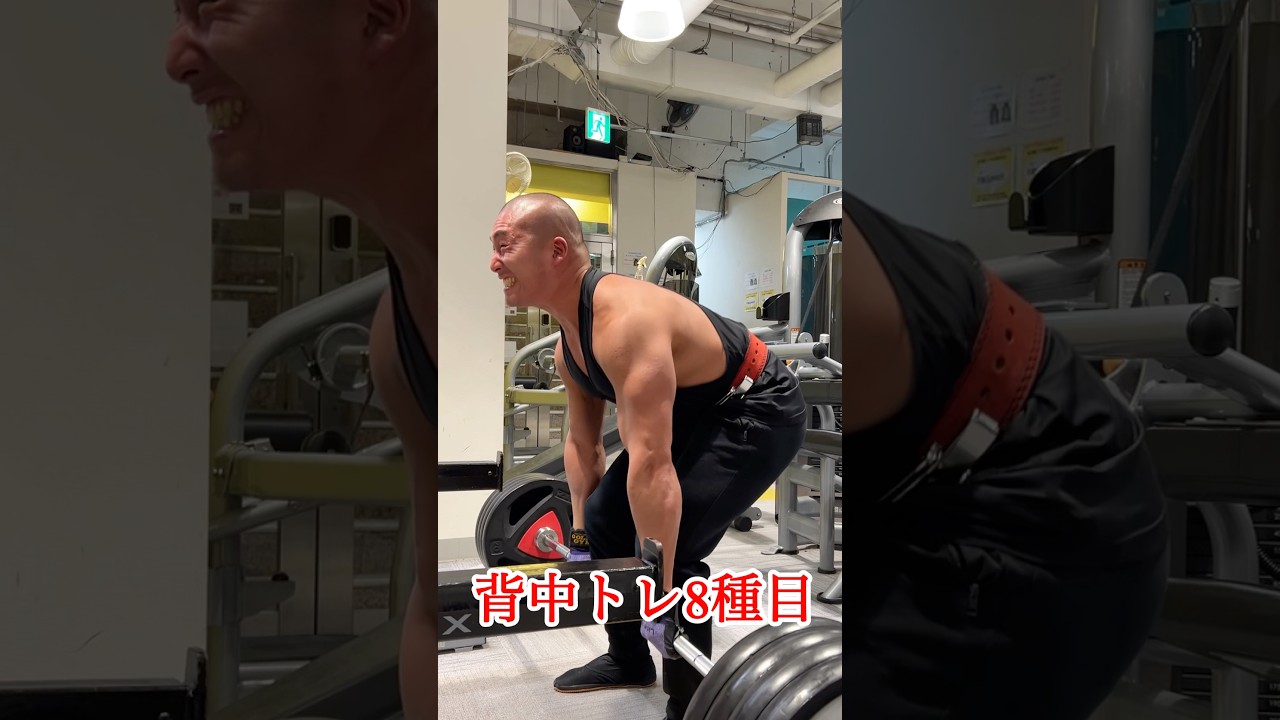 BIG3  650kgを目指す男の背中トレ8種目🔥#背中トレ #デッドリフト #筋トレメニュー