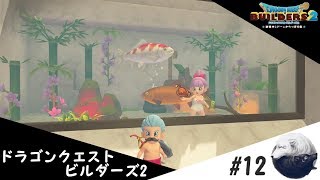 ドラゴンクエストビルダーズ2　[普通、普通、へんなの、普通]#12