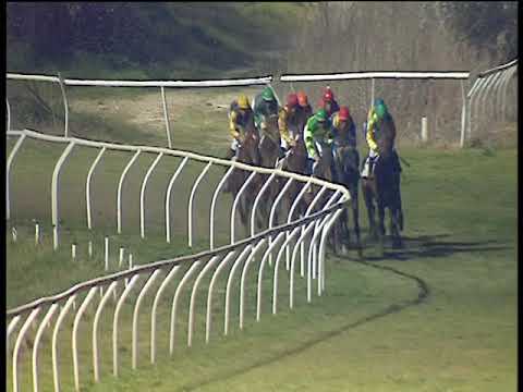 Galoppo 19/02/2019 - 6ª corsa