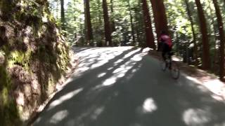 Shadow Cyclist: Tunitas Creek Road, California