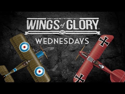 Siemens-Schuckert D.III breakdown - Wings of Glory Wednesdays