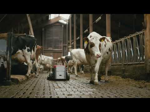 Lely Discovery: Saubere Ställe. Gesunde Kühe. Unser Stallheld seit 20 Jahren