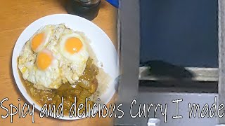 Spicy and Delicious Curry | Garbage with Gure Episode 10