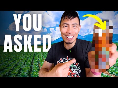 你自找的 (You Asked For It)