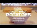 Colcannon Potatoes