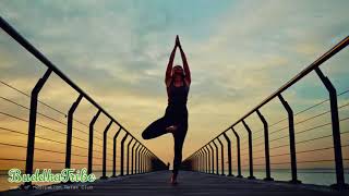 Yoga Peaceful Music: Yoga Music for Exercise, Chakra Balancing & Healing Music, Music for Yoga Poses
