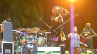 steel pulse: no more weapons, live reggae sun ska festival 2013