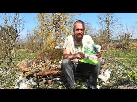 Buch: unser essbarer Waldgarten