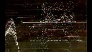 Lost, picking flowers in the woods.