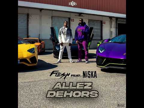 Fresh La Peufra feat. Niska - Allez dehors (Audio Officiel)
