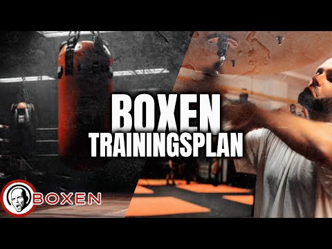 Trainingsplan Boxen | Training mit Konne