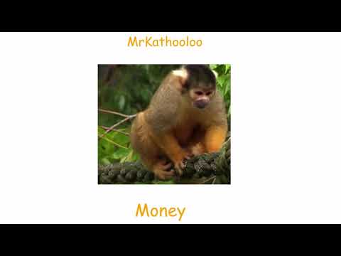 MrKathooloo - Money