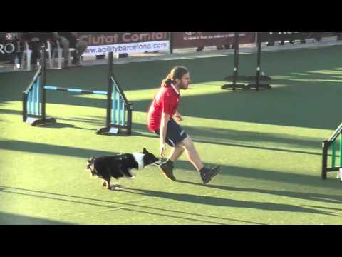 14112015 Agility Akela