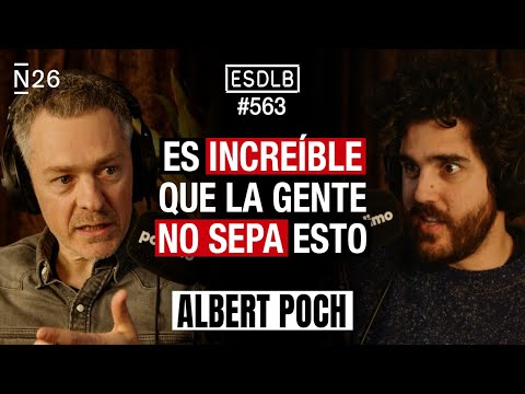 Estos son los Mayores Cárteles de España | Albert Poch #ESDLB Cap.563
