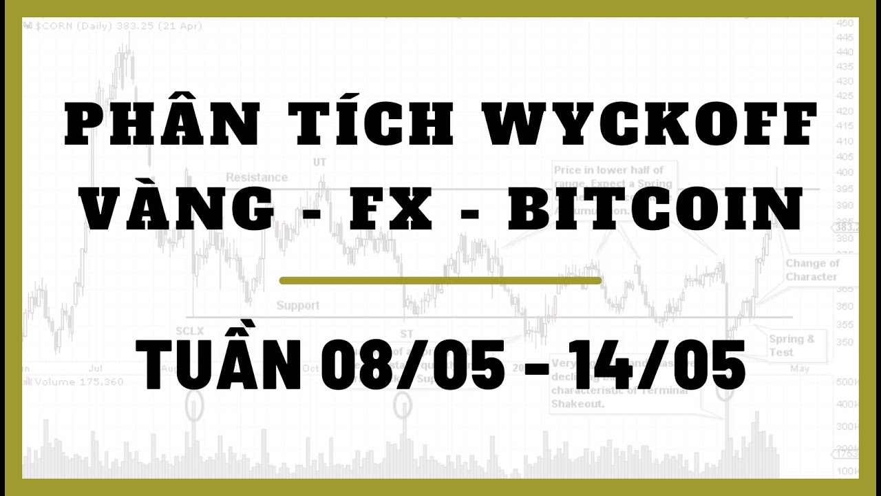 Phân Tích VÀNG-FOREX-BITCOIN Tuần 08-14/05 Theo Phương Pháp WYCKOFF