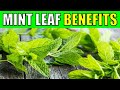 10 Powerful Health Benefits of Mint Leaves YOU CAN'T IGNORE