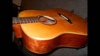 Bruce Ray White guitar demo by Jeff Merritt.wmv