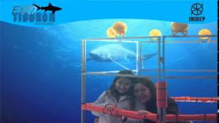 DIA 2 Expo Tiburon34