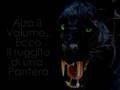 Black Panther Roar