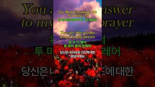 Download lagu You Mean Everything to Me 1/2 -Neil Sedaka | 유 민 에브리씽 투 미 -닐세다카 #lyrics #YouMeanEverythingtoMe mp3