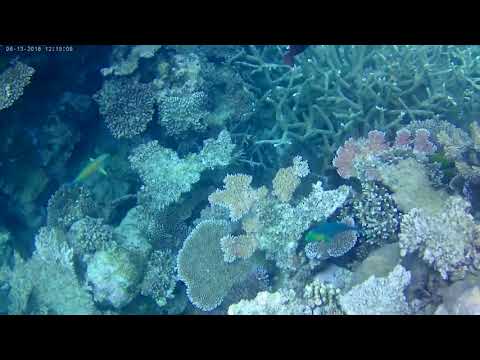 great%20barrier%20reef