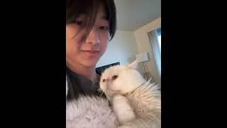 Download lagu oo ee aaaaa oo ii aaaaa oo i #yungkai #blue mp3 Download lagu oo ee aaaaa oo ii aaaaa oo i #yungkai #blue mp3