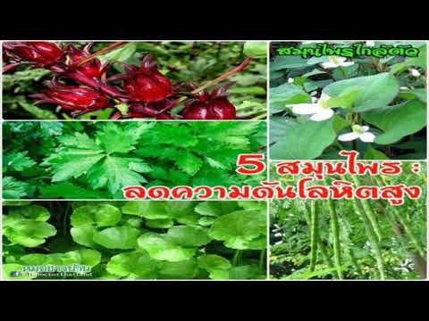 แอพลิเคชันสำหรับ castoreum แรง สมาชิกวิธีที่จะเพิ่มการพิสูจน์