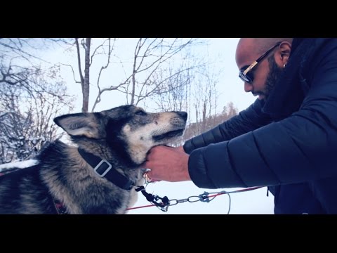 Over N°7 - Décrasser