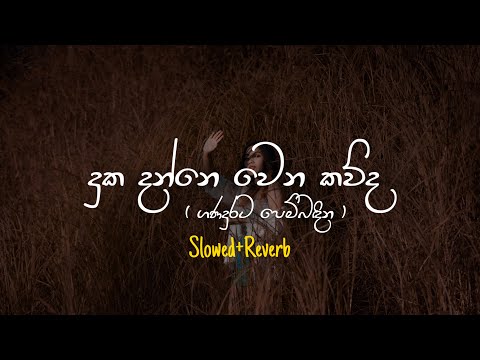 Duka Danne Wena Kauda - දුක දන්නේ වෙන කවුද (Slowed+Reverb)