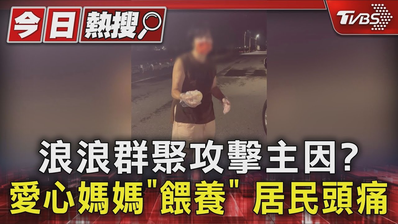 浪浪攻擊釀1死2傷！「耳朵險被咬掉」　愛心媽媽餵養釀禍