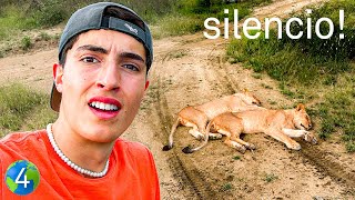 LEONES EN EL CAMINO! - Vuelta Al Mundo En 80 Días