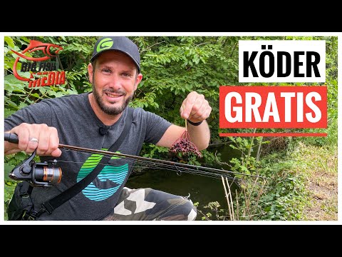 Christian PLEITE? - Köder GRATIS - Gibt das FISCHE? - Angeln am Bach