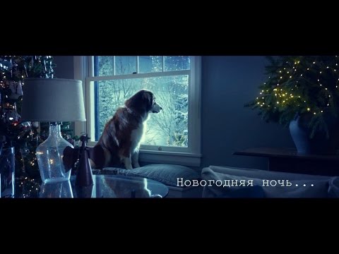 Новогодняя ночь 2016 год...  Денис Белик / Ivan Lexx