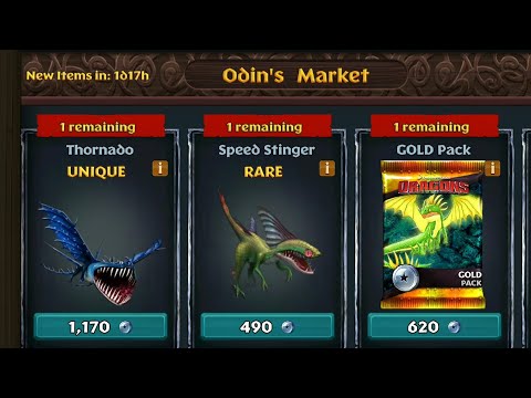 June Odin's Market - Dragons:Rise of Berk